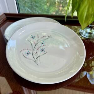 Vintage Taylor Smith & Taylor Windemere Saucer Plates Set Pink & Blue Floral